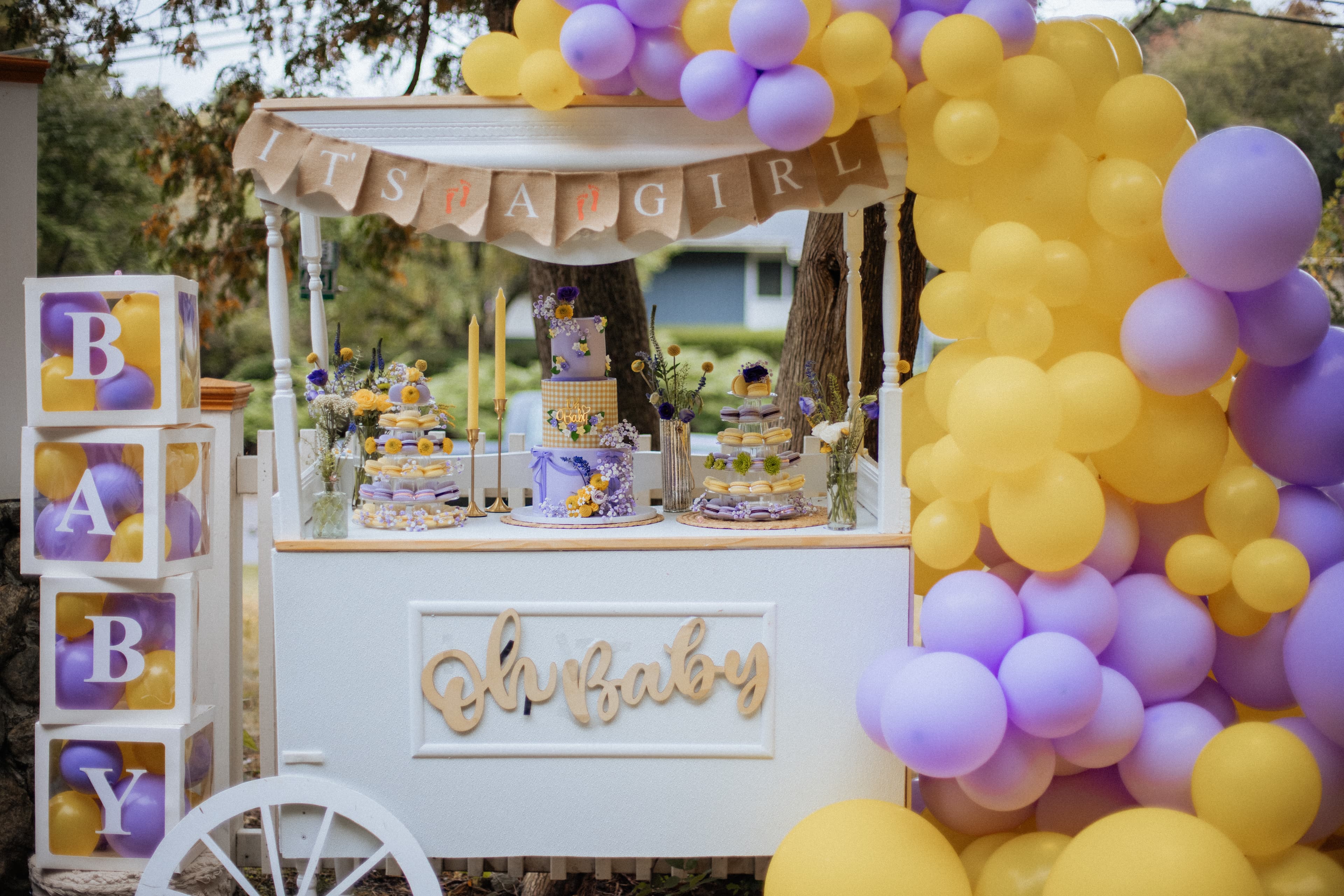 Baby Shower Celebration